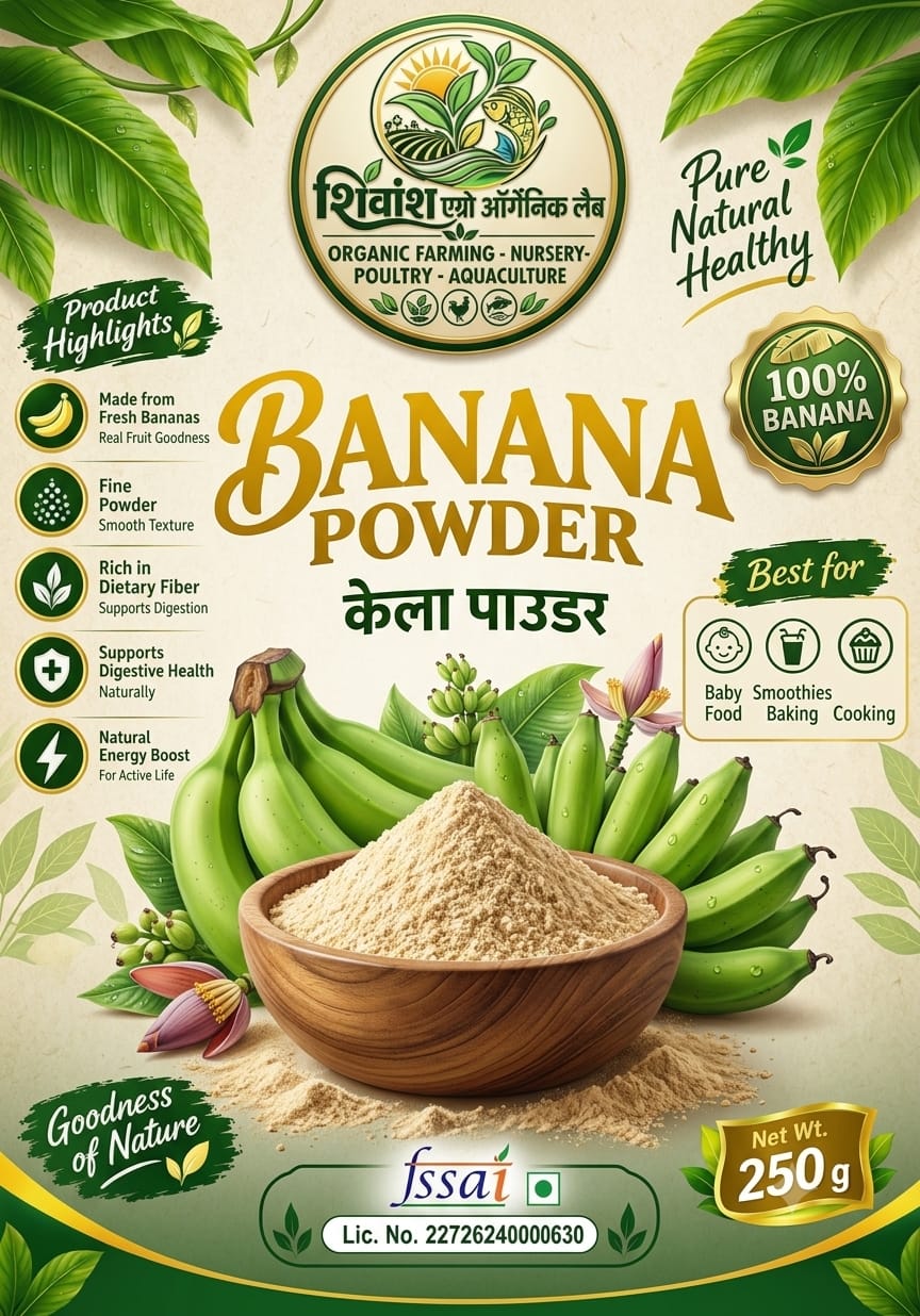 WhatsApp Image 2026-10-19 at 11.49.31 AM